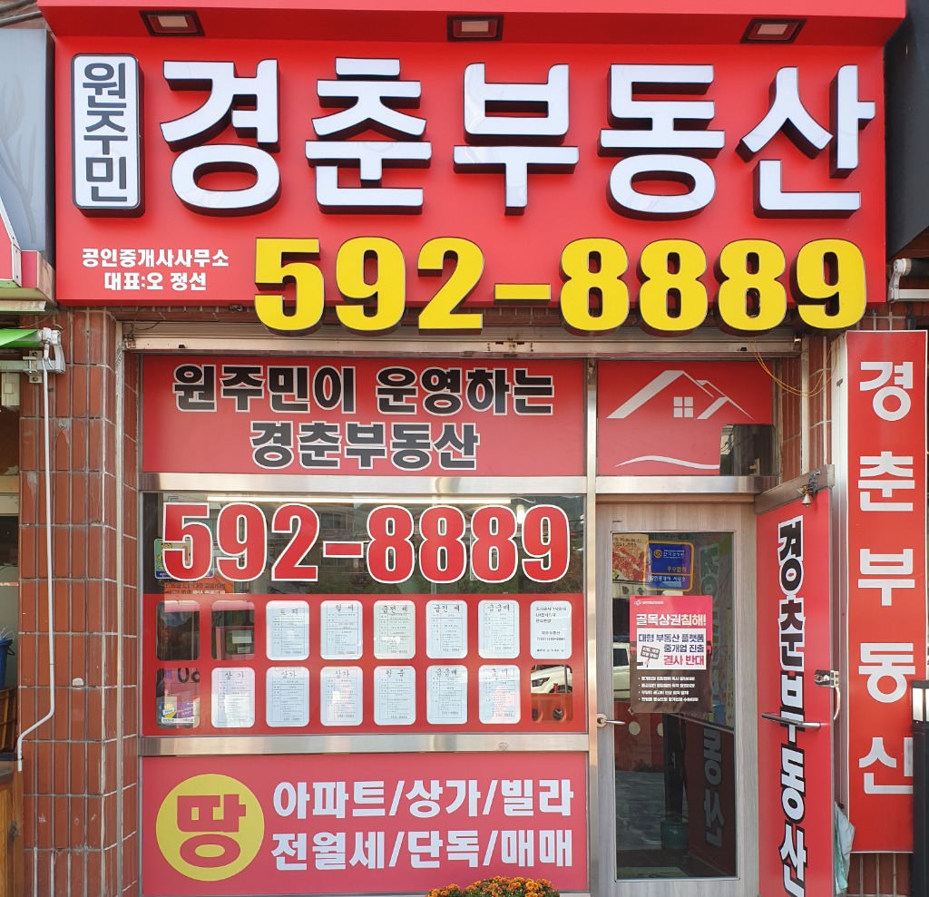 대표 공인중개사